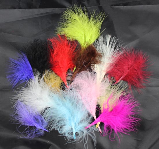 14 Mixed Coloured Feathers